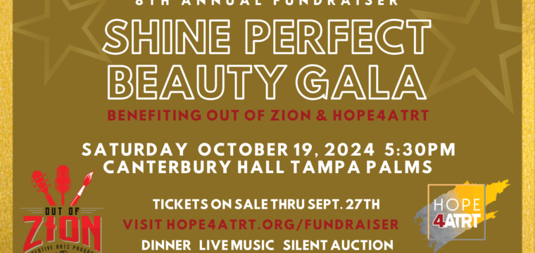 Shine Perfect Beauty Fundraiser