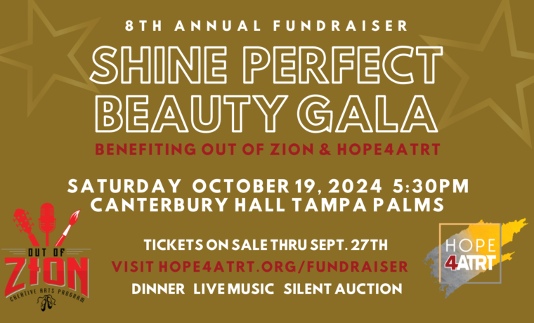 Shine Perfect Beauty Fundraiser